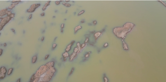 九游会·J9 - 中国官方网站 | 真人游戏第一品牌